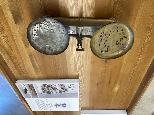 Rayiha Baharat Müzesi